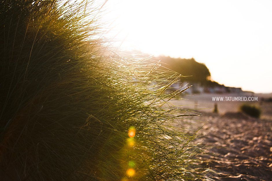 Beach engagement shoot_North Norfolk engagement shoot_ Wells next sea_tatum reid photography_ Stephen & Jen (19)
