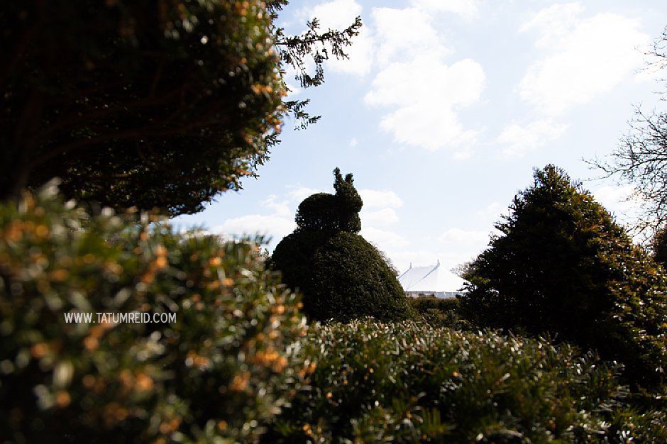 Narborough Hall gardens wedding photography_tatum reid photography_norfolk wedding photographer (29) Narborough Hall gardens wedding photography_tatum reid photography_norfolk wedding photographer (29)