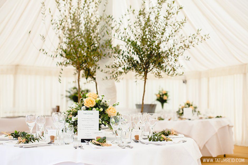 stephen&jen_tatum reid photography_wedding photography norfolk (39) stephen&jen_tatum reid photography_wedding photography norfolk_outdoor wedding_ jewish wedding_Shropham wedding norfolk (39)