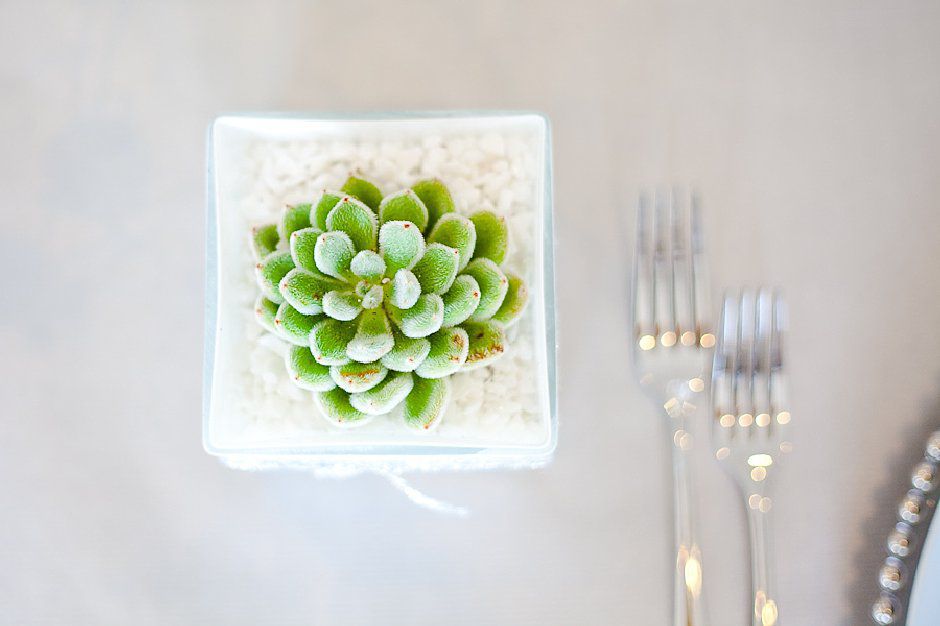 Christine meintjes london photography workshop_tatum reid Photography (9) Christine meintjes, workshop, stlyed shoot, blue, contemporary wedding (9)