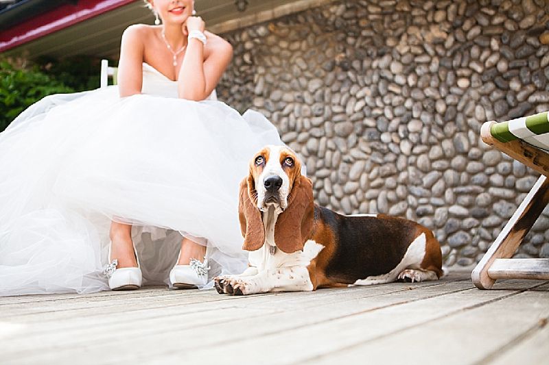 Wedding accessories, outside bridal shoot, bride with dog, bassett hound, red lips, vintage looks (15)