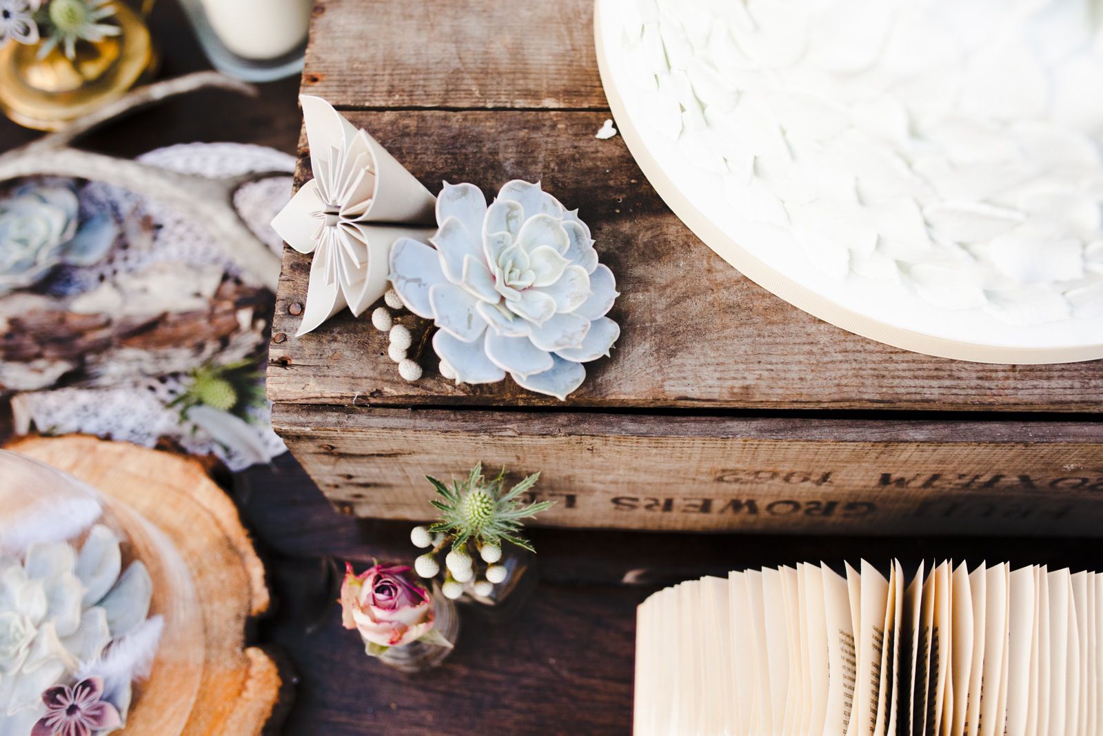 Modern fairytale wedding styled shoot_Hales hall wedding_Norfolk_Tatum Reid Photography (5) Hales hall, outside wedding norfolk blush colours fairytale theme_tatum reid wedding photorgaphy (5)