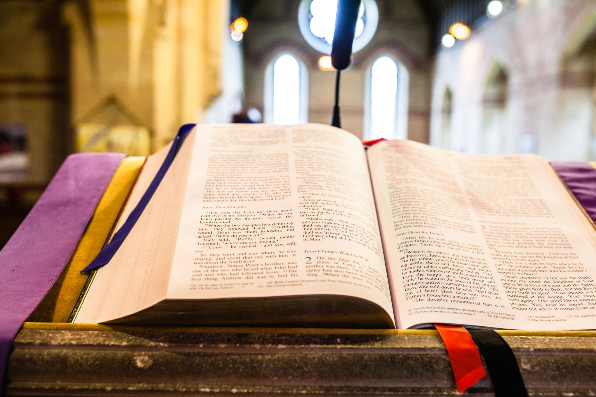 Elms barn wedding photography_Norfolk_suffolk wedding_tatum reid (40) Elms barn wedding photography_Norfolk_suffolk wedding_tatum reid (40)