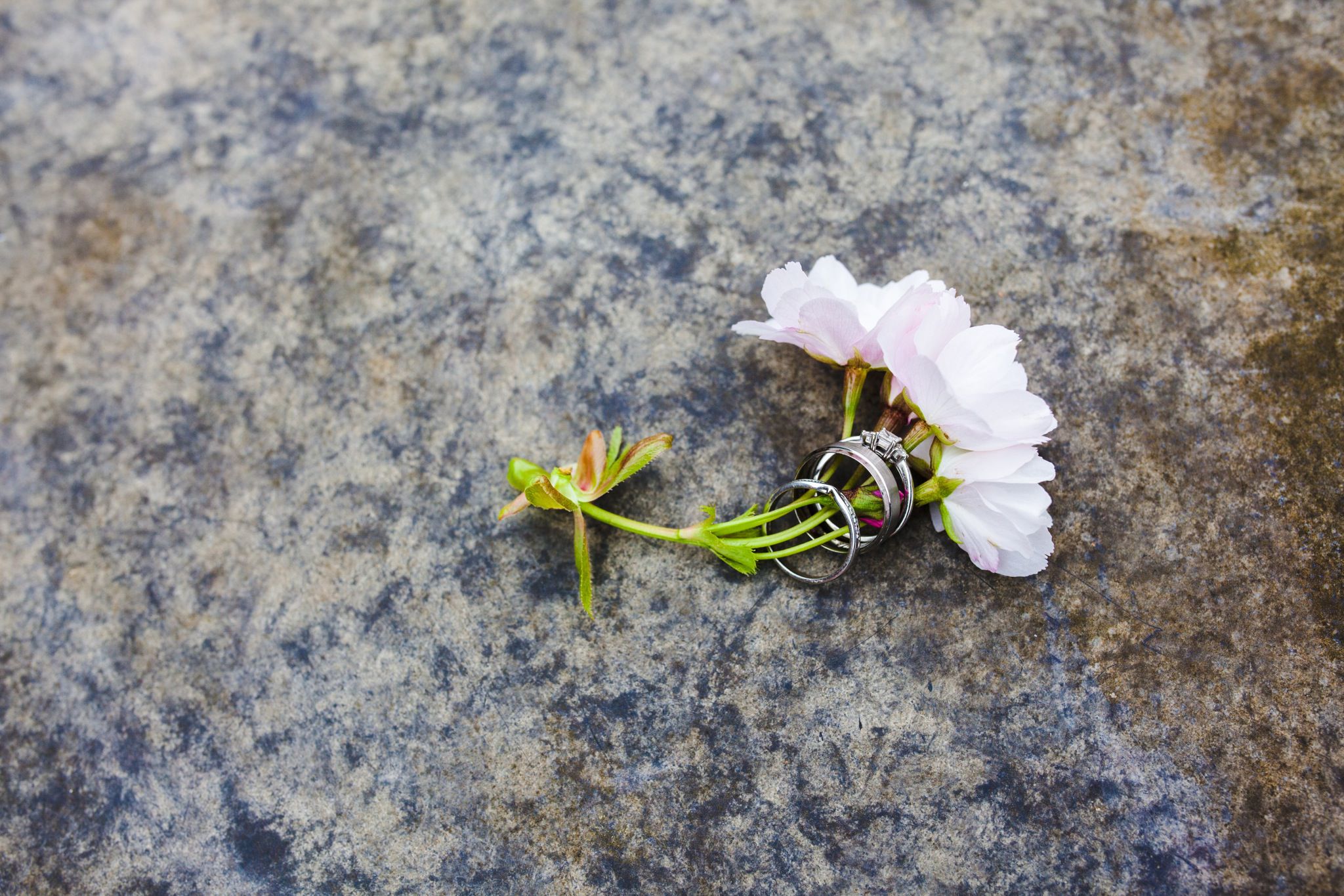 Elms barn wedding photography_Norfolk_suffolk wedding_tatum reid (3) Elms barn wedding photography_Norfolk_suffolk wedding_tatum reid (3)