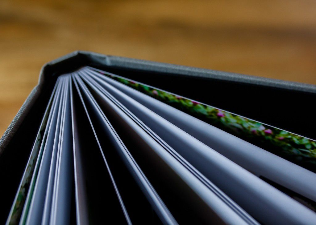 New products_Tatum Reid Photography (6)