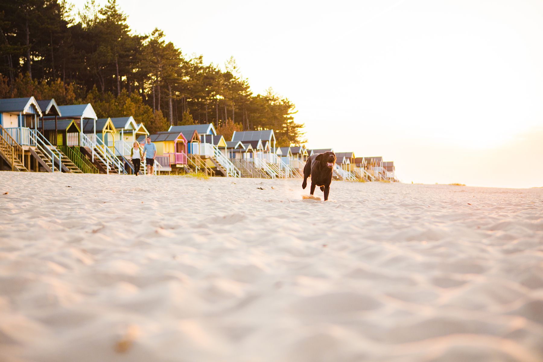 Pre-wedding shoot, Wells-next-sea engagement shoot_Tatum reid wedding Photography (7) family portraits, Pre-weddiing shoot, Wells-next-sea engagement shoot_Tatum reid wedding Photography, jo and matt (7)