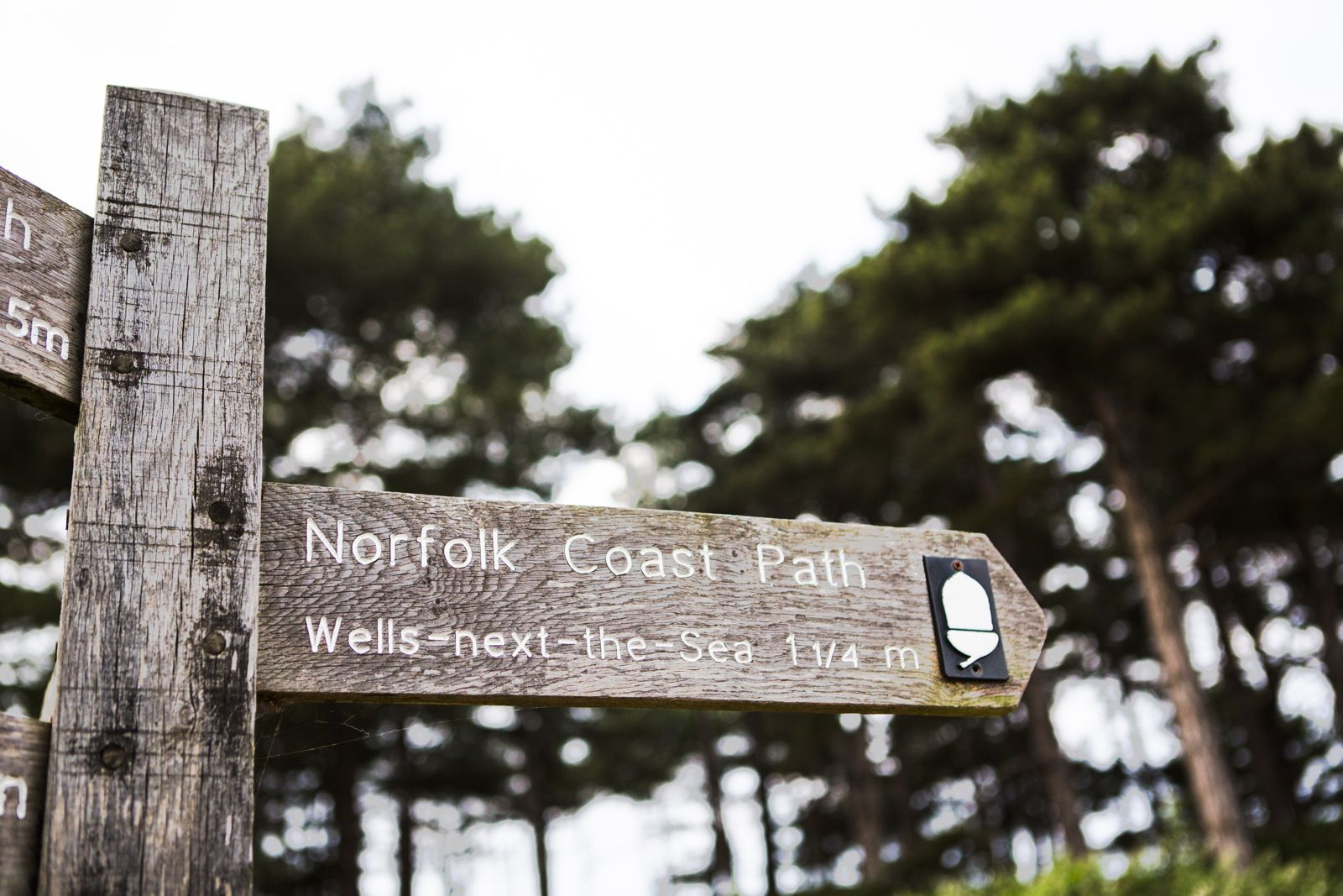 norfolk family photographer