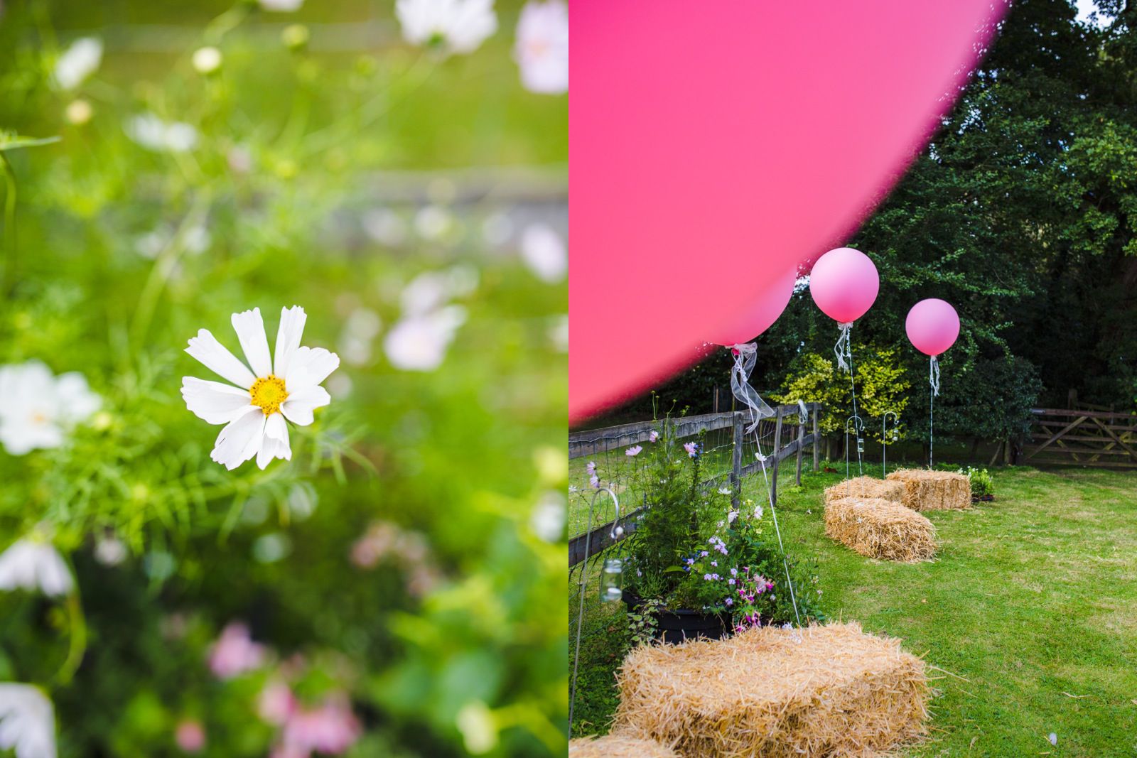 Norfolk wedding_outside summer wedding_colin and wick_pink balloons_norwich_tatum reid photography (23)