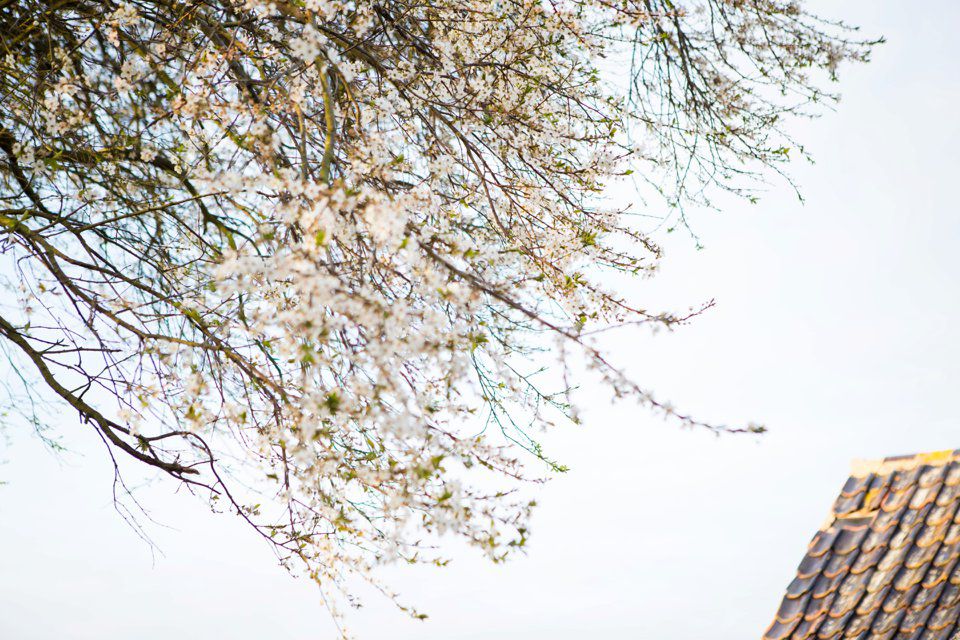 tatum reid photography_wedding _diy rustic vintage back garden wedding _barn_suffolk_norfolk_yellow dresses (34)