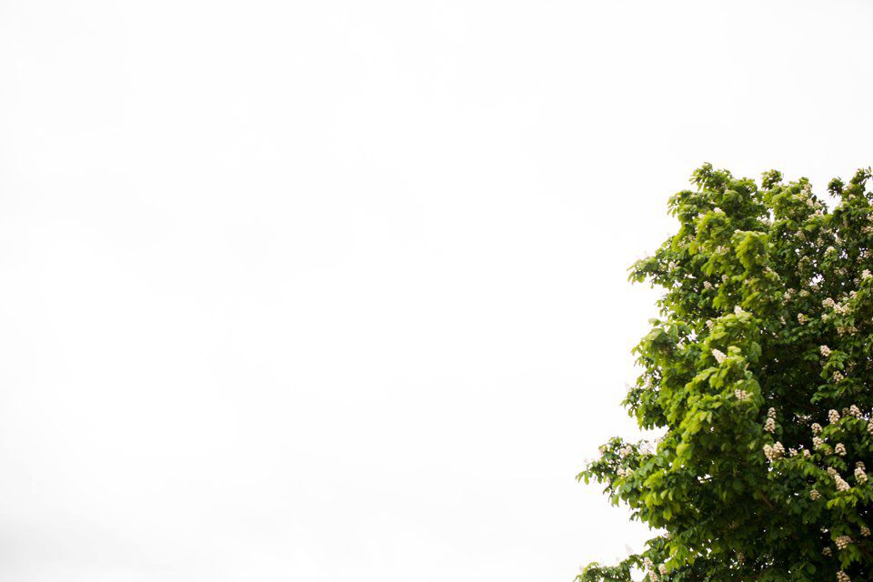 granary estate wedding