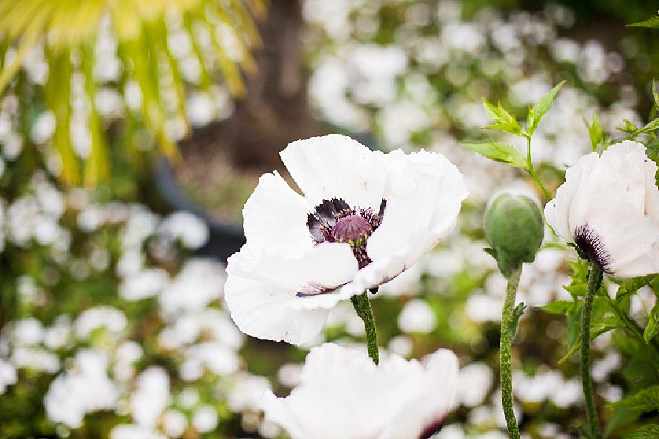 Norfolk Photographer Tatum Reid | Hales Hall Hindu Indian colourful wedding _0033