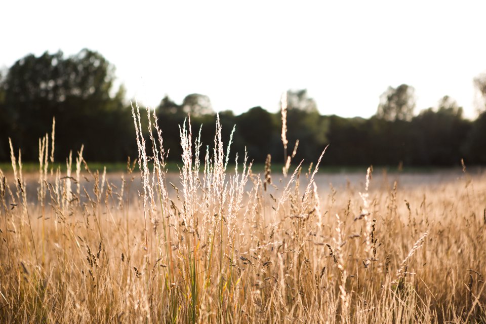 Garden Barn Suffolk wedding photography_tatum reid_blush pink bride_pastel dresses, multicolour, diy wedding decor_succulents_paper flowers_garden games_newmarket (13)